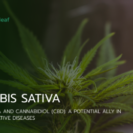 Cannabis sativa