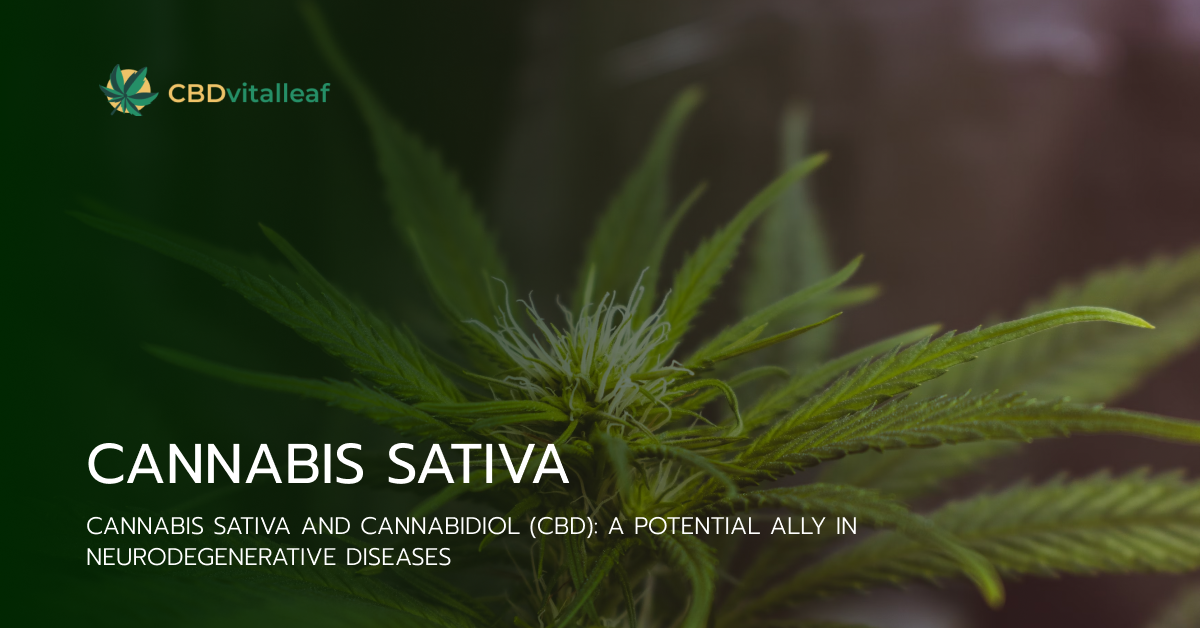 Cannabis sativa